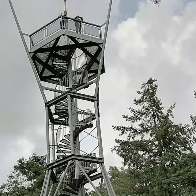 Wanderung der LandFrauen Westenberg in Bardel und den angrenzenden Niederlanden.